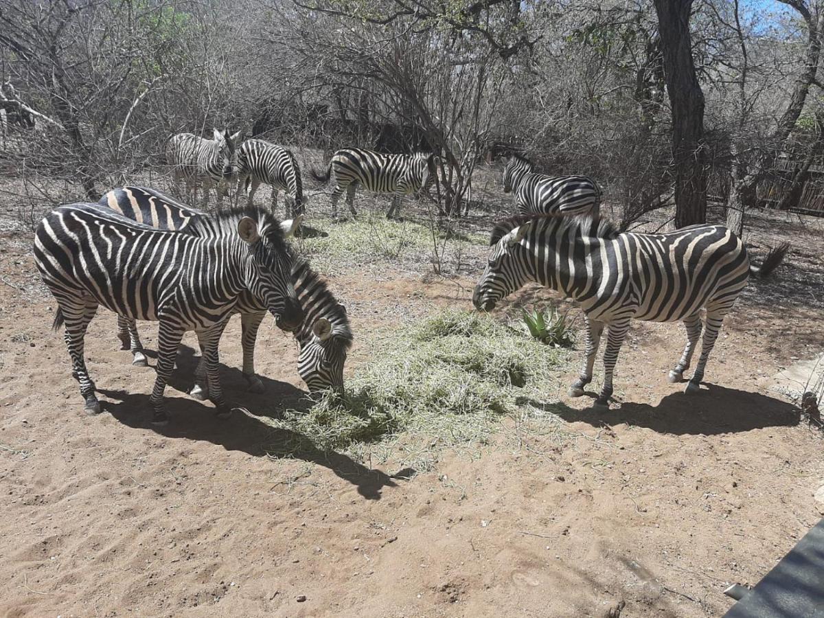 African Bush Escape 玛洛斯帕克 外观 照片