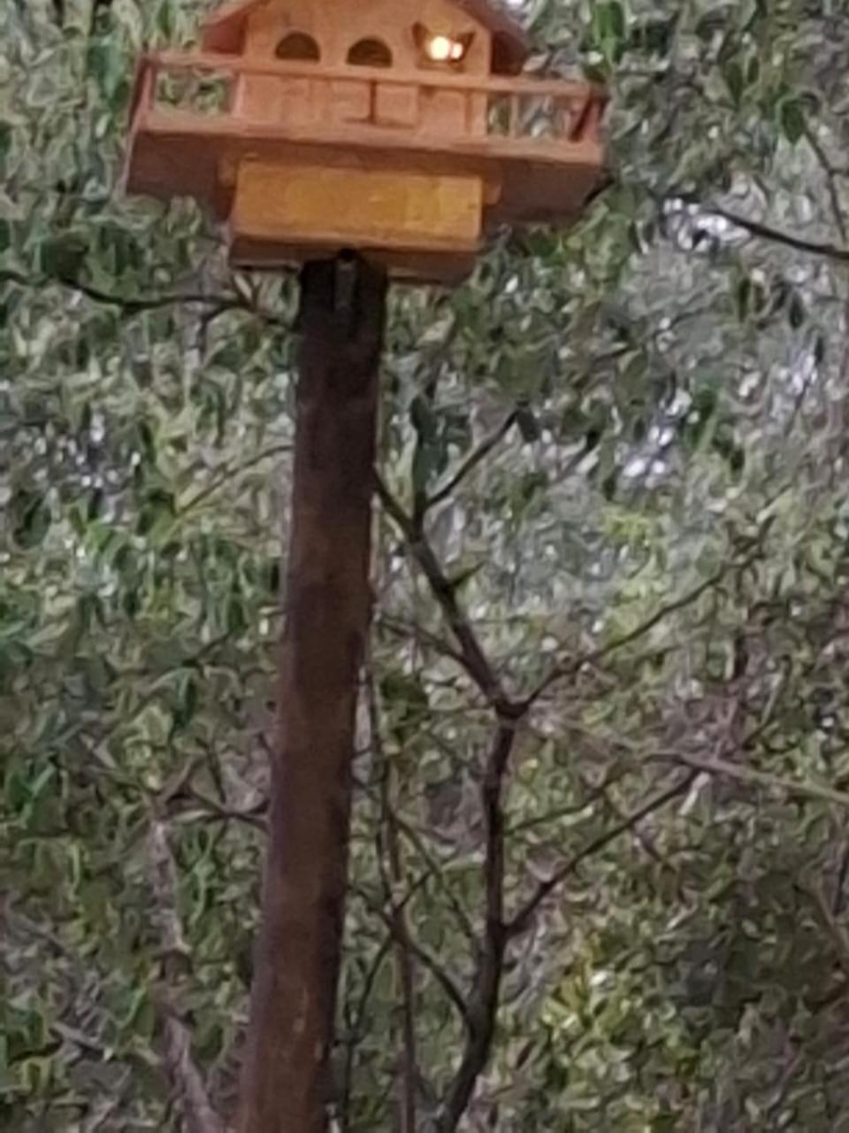 African Bush Escape 玛洛斯帕克 外观 照片